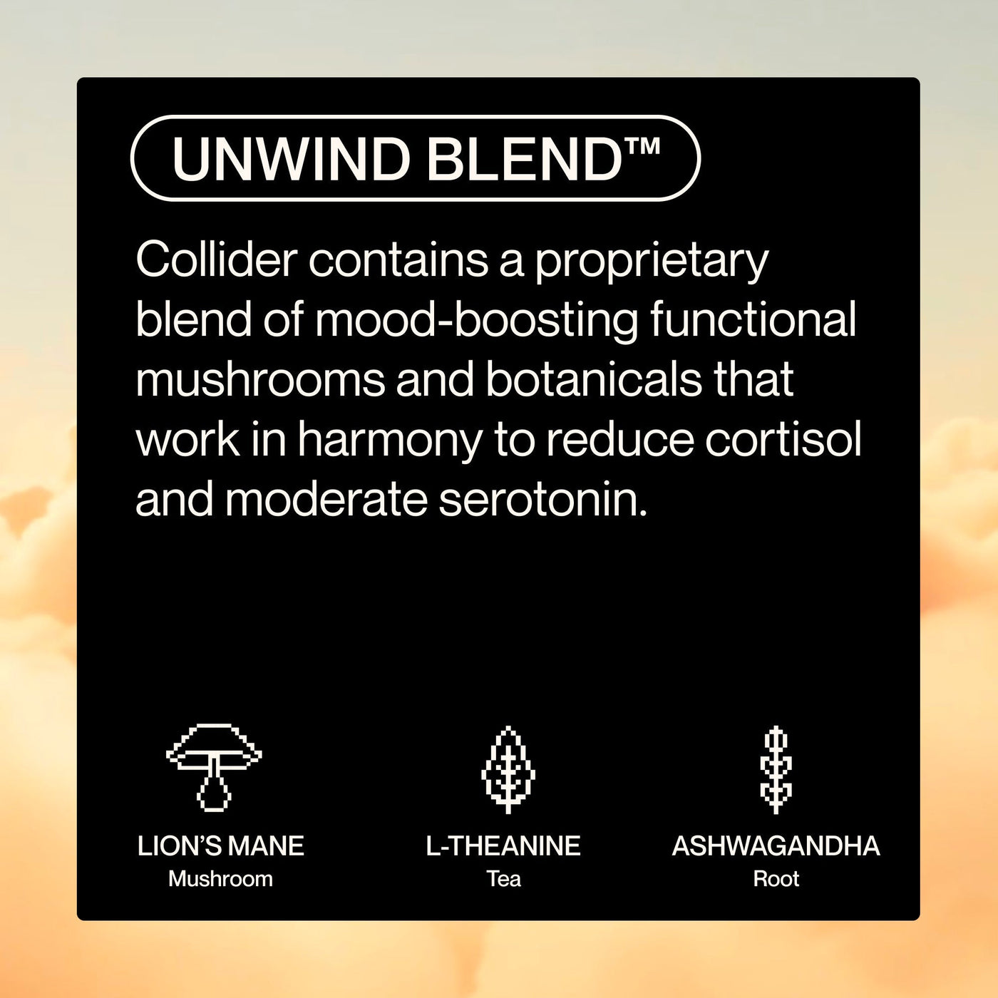 Unwind Blend of functional mushrooms and botanicals